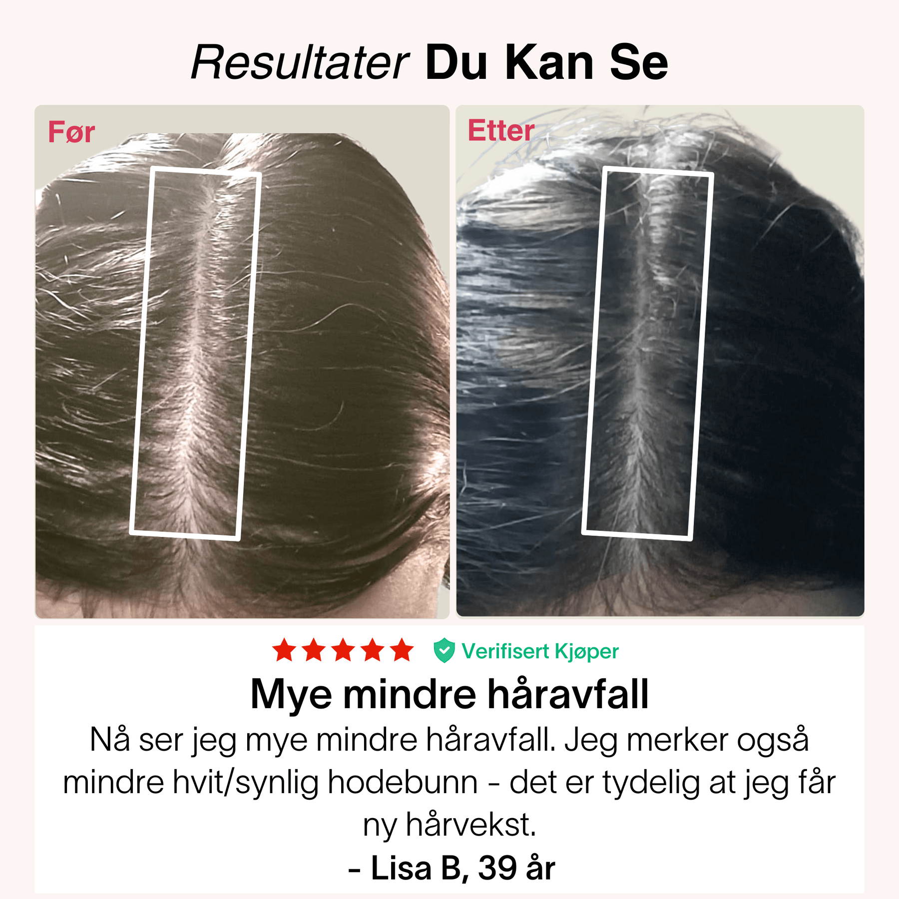 Alle_hovedbilder_-_2025-09-03T161238.229