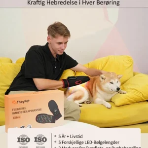 Magisk LED-Terapihanske for Kjæledyr