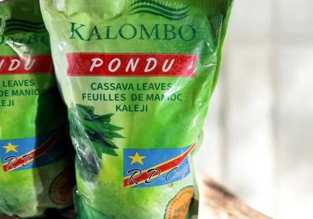 WhatsApp Image 2026-02-23 at 8.36.17 PM (1)